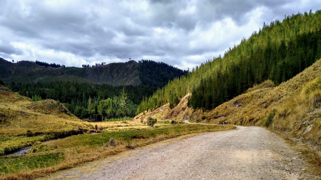 ¿Pensará en mi la montaña? Victoria Ant