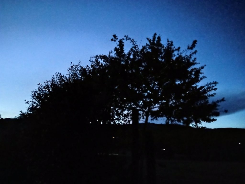 Seis AM Seis PM Alejandra Arias 1