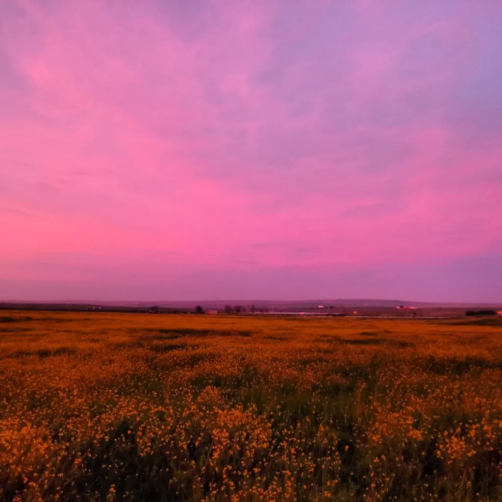 David del Castillo 2