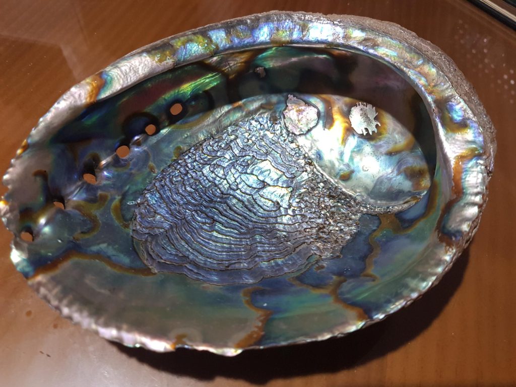 Ruidos María Jesús Galindo 2