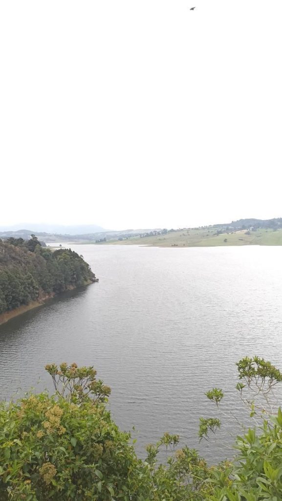 Milonga de fuego en sueños 2