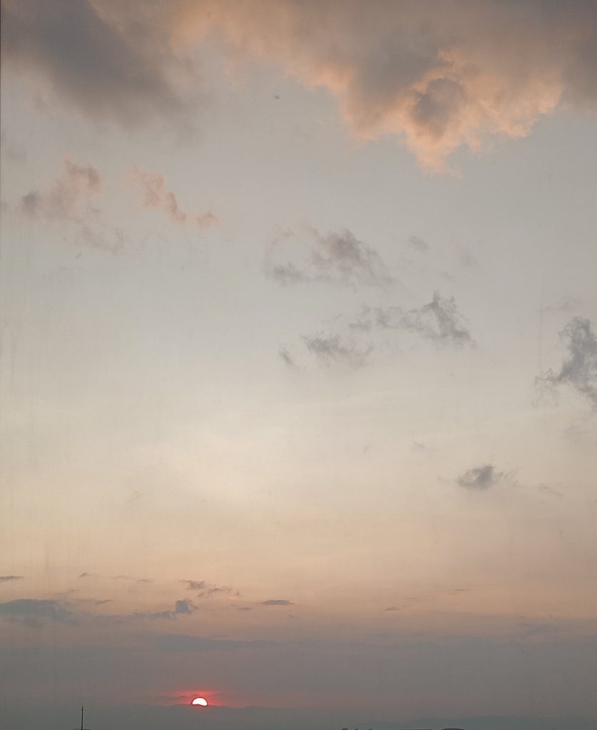 Fundamento Alejandra Arias 2