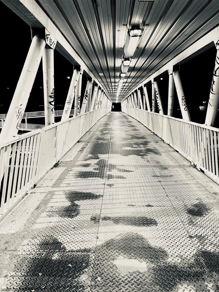 Con el corazón roto Sara JR 2