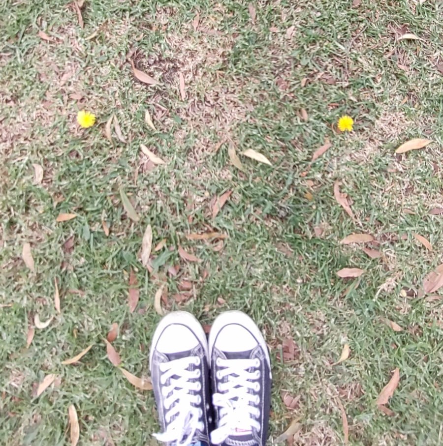 Cómo hundirme Martha Valencia 2