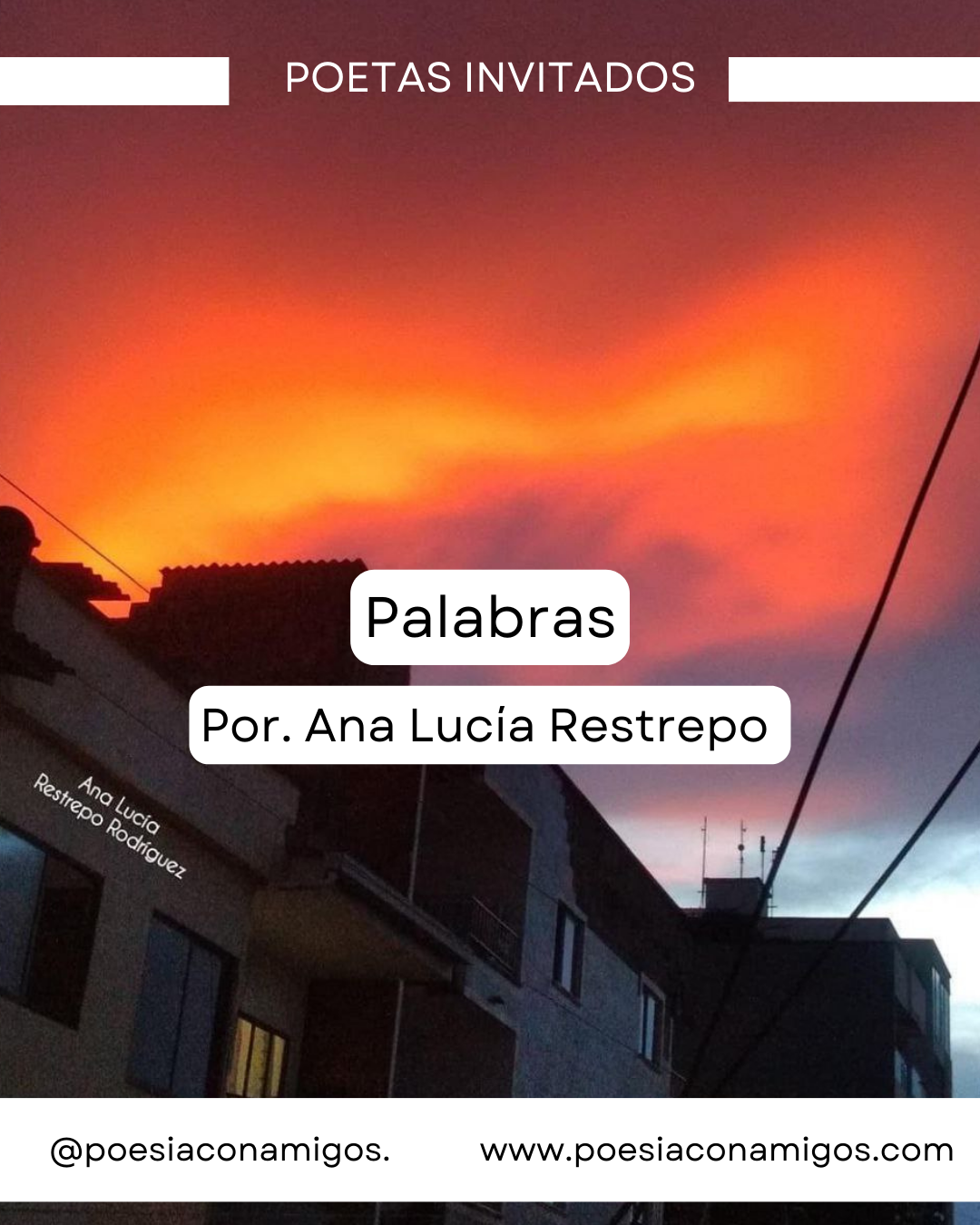 Palabras Ana Lucía Restrepo - Poesía con Amigos