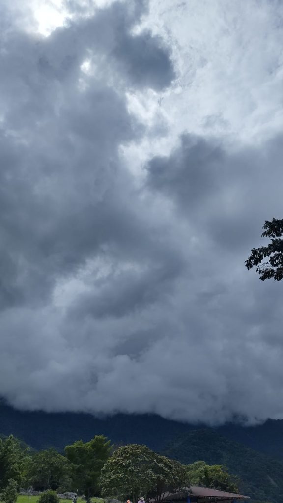 Edredón Martha Valencia 2