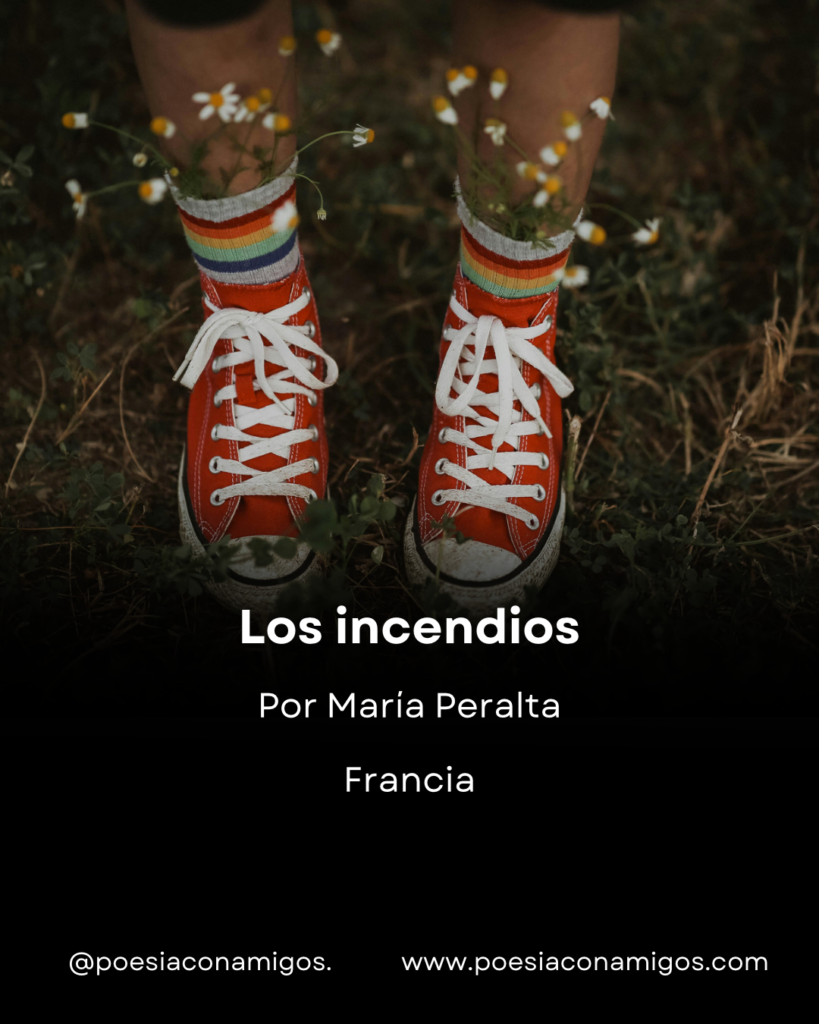 Los incendios María Peralta 2