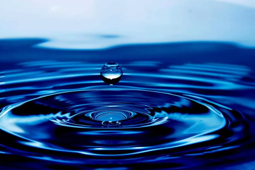 Arepa Elías Torres 2