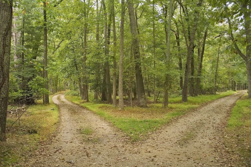 La vida pronto te enseña María Pernalete