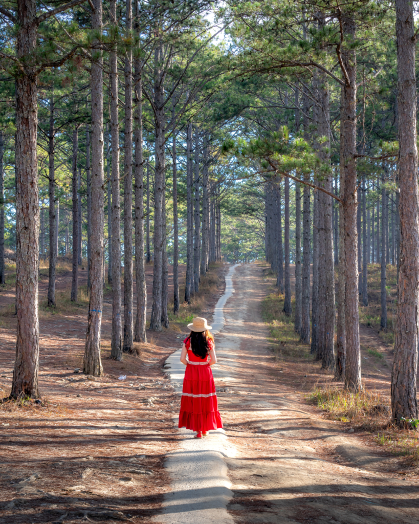 Decidir el camino Marianella Mora Godoy