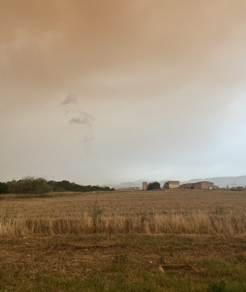 Oasis Escrilienzo Maca Lauriente