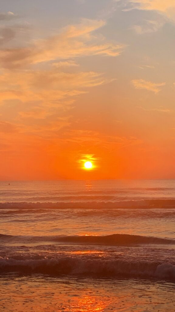 Voz poética Rosa Rojas Bastidas 1