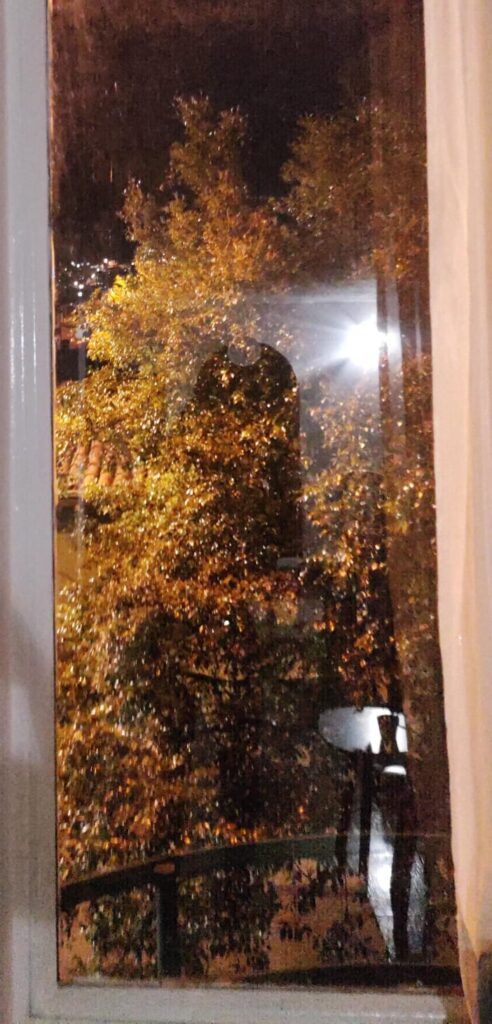 Poema sin nombre Martha Valencia